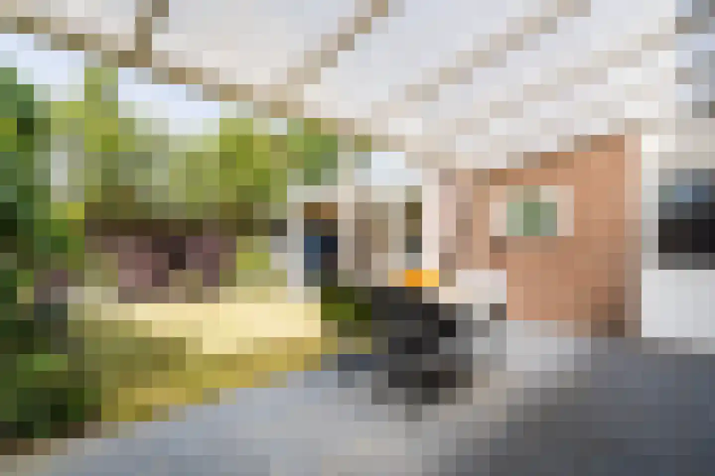 Kijkakkers 44 Maarheeze thumbnail 31