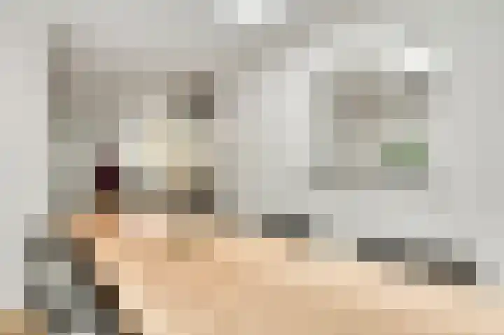 Kijkakkers 6 Maarheeze thumbnail 15