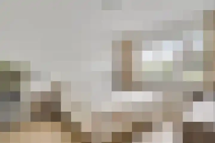 Kijkakkers 6 Maarheeze thumbnail 23