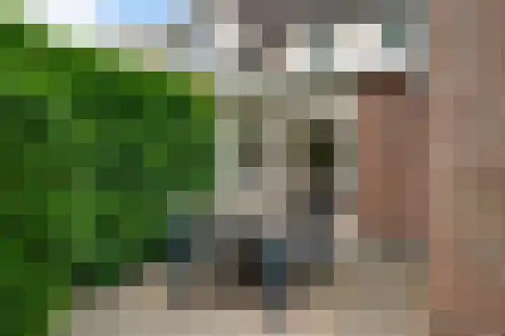 Kijkakkers 6 Maarheeze thumbnail 33