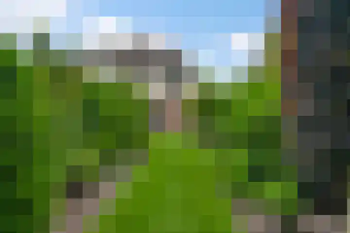 Kijkakkers 6 Maarheeze thumbnail 35