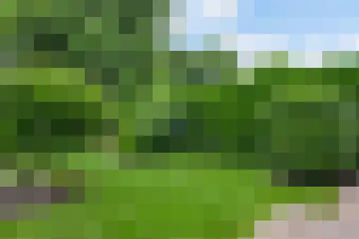 Kijkakkers 6 Maarheeze thumbnail 36