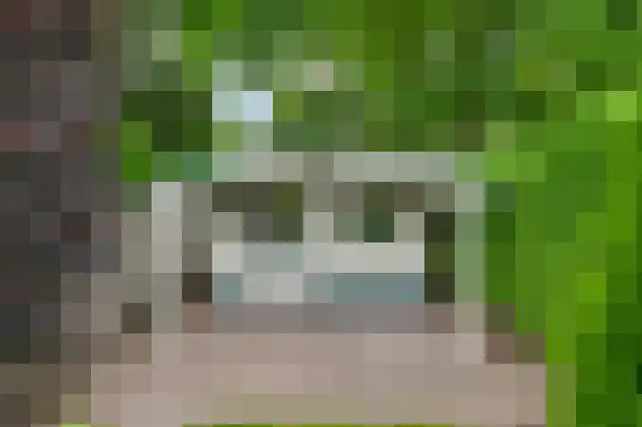 Kijkakkers 6 Maarheeze thumbnail 37