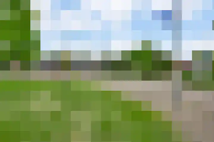 Kijkakkers 6 Maarheeze thumbnail 38