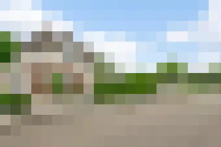 Kijkakkers 6 Maarheeze thumbnail 40