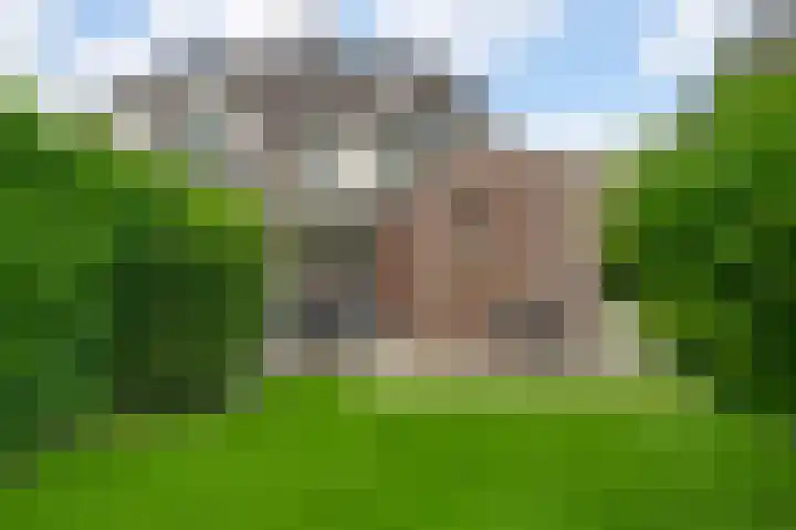 Kijkakkers 6 Maarheeze thumbnail 41