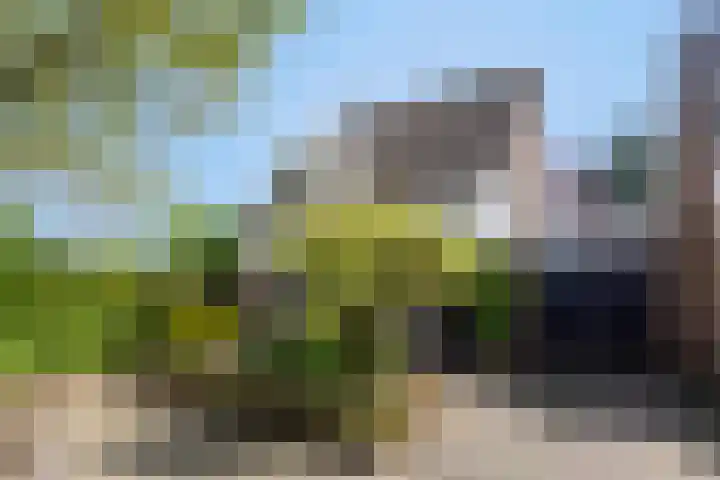 Kijkakkers 60 Maarheeze
