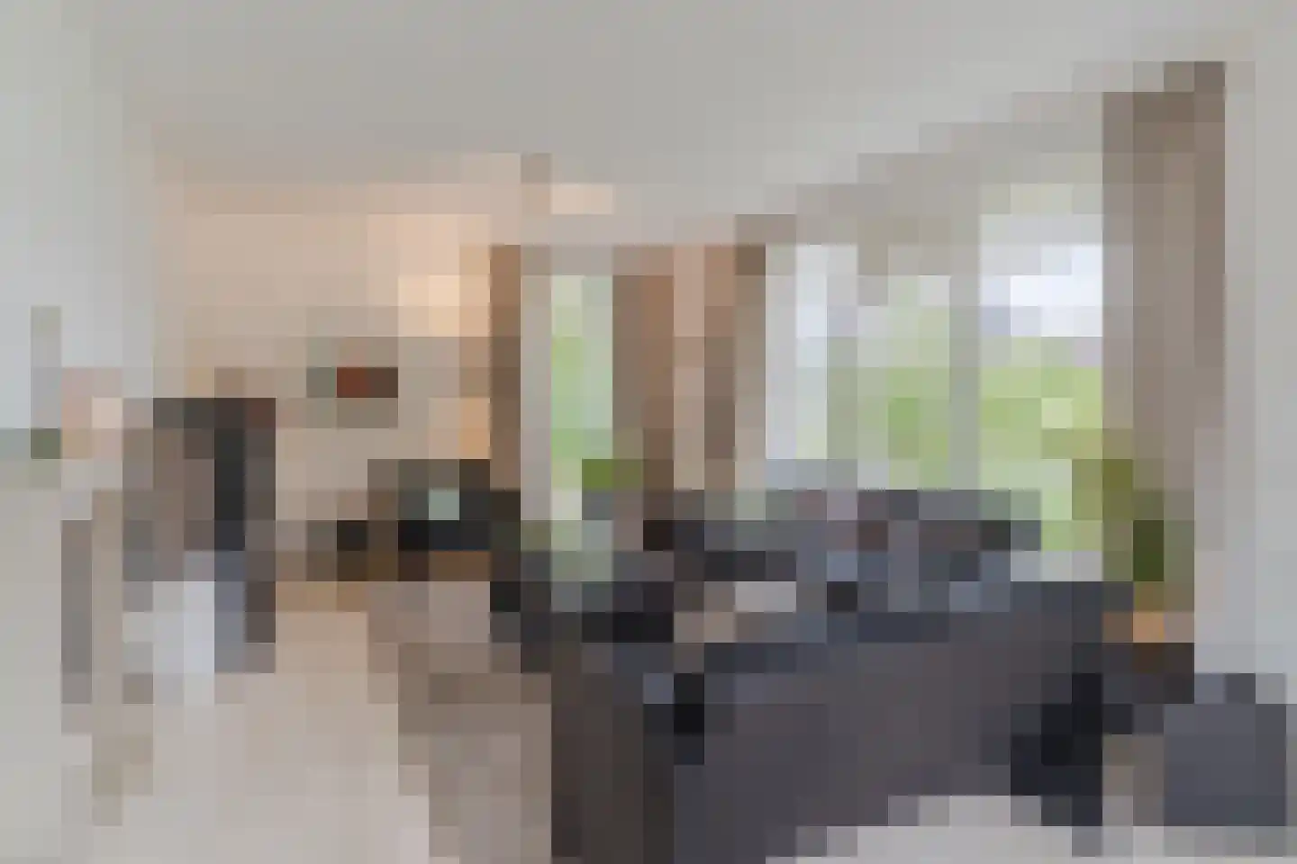 Kijkakkers 80 Maarheeze thumbnail 17
