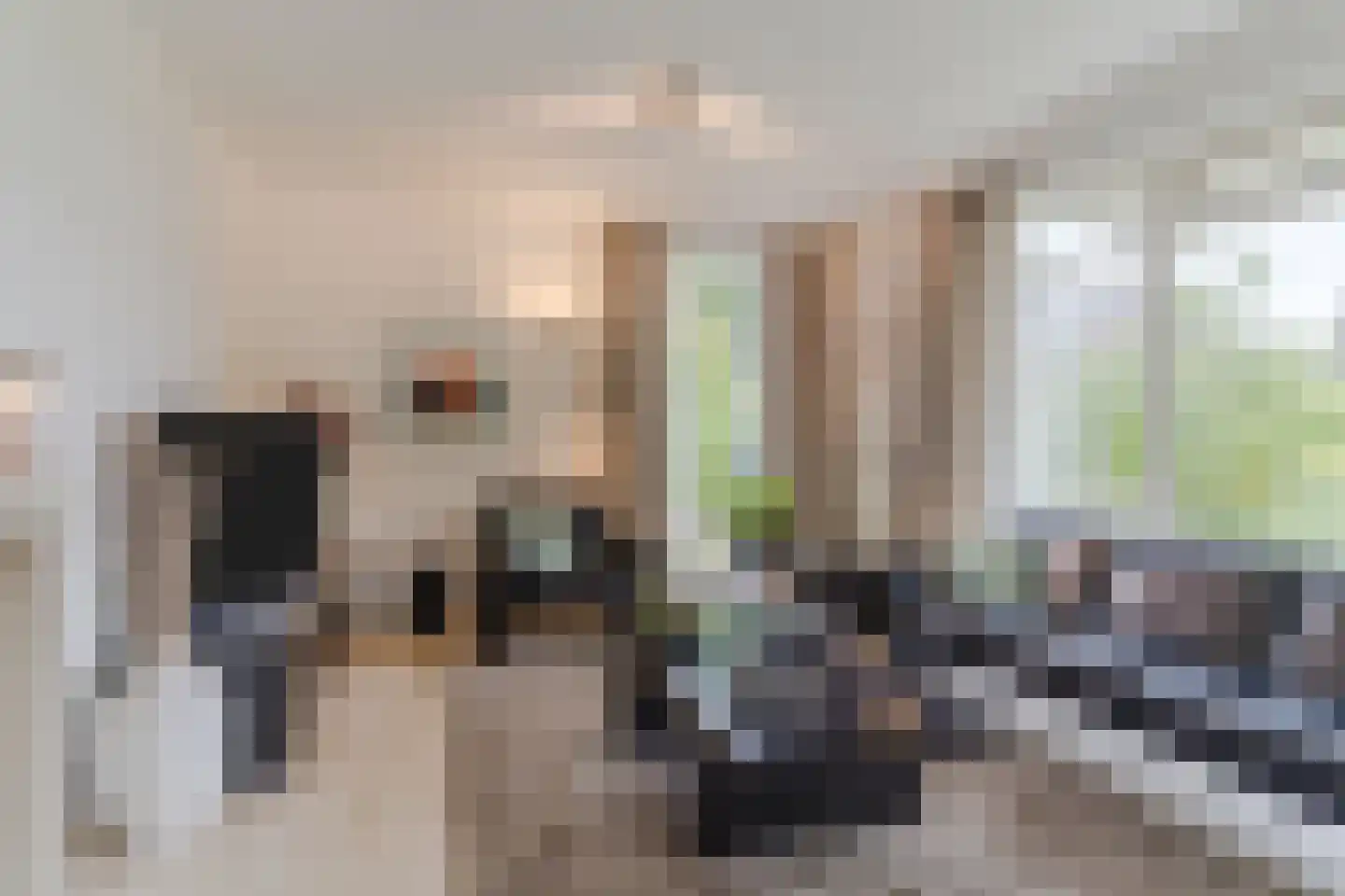 Kijkakkers 80 Maarheeze thumbnail 18