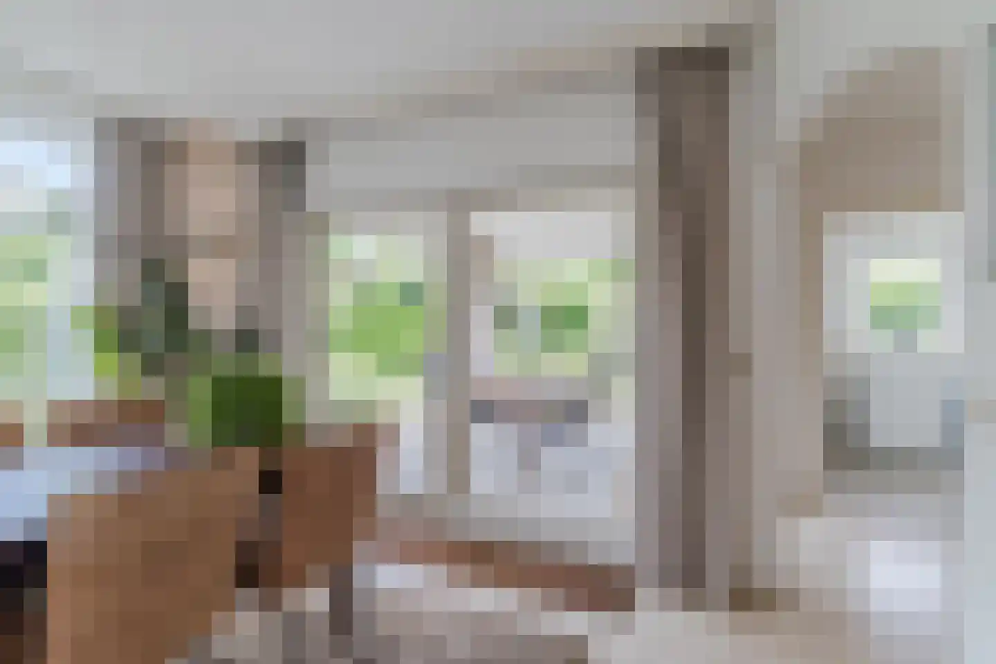 Kijkakkers 80 Maarheeze thumbnail 23