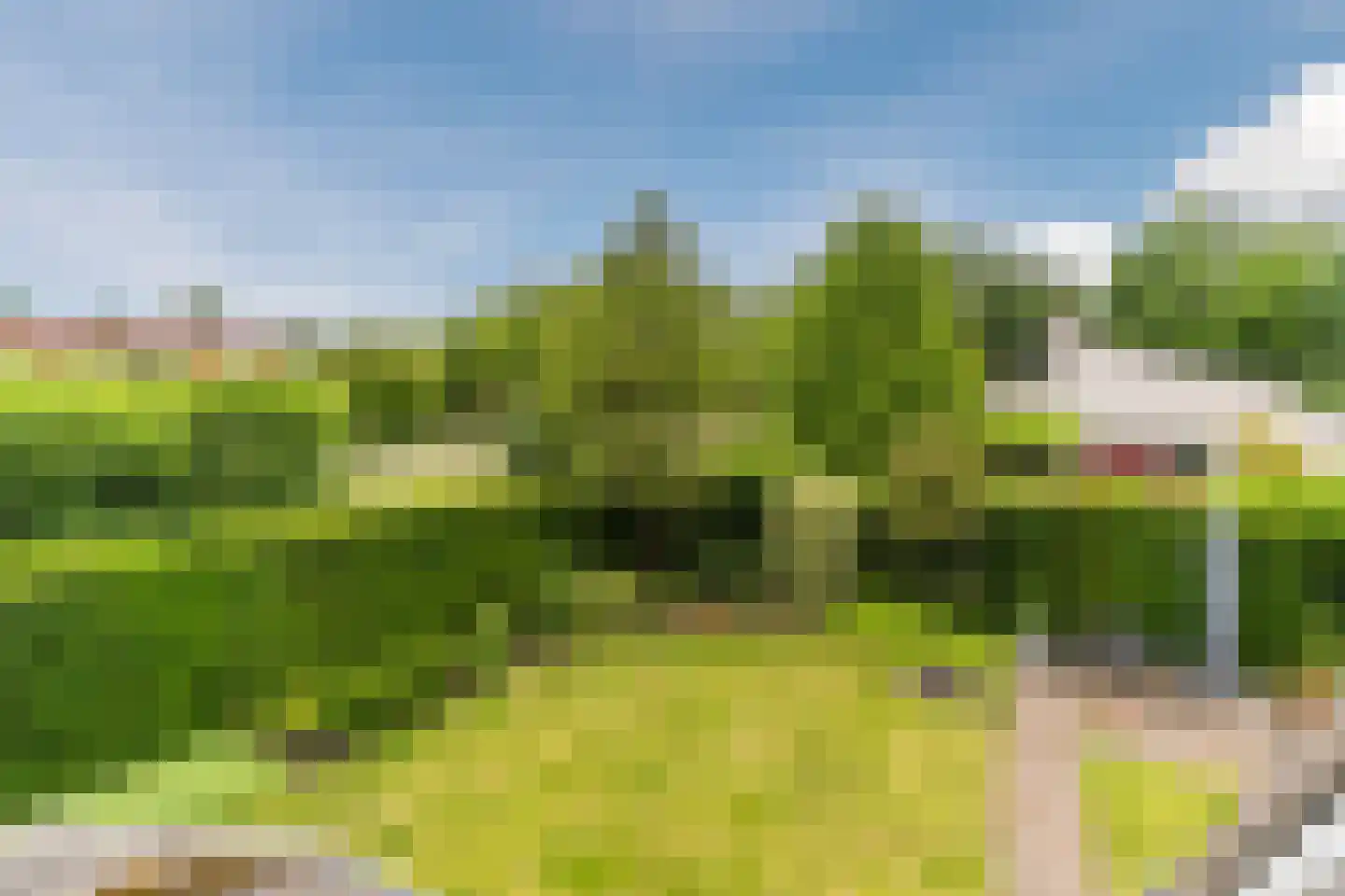 Kijkakkers 80 Maarheeze thumbnail 55