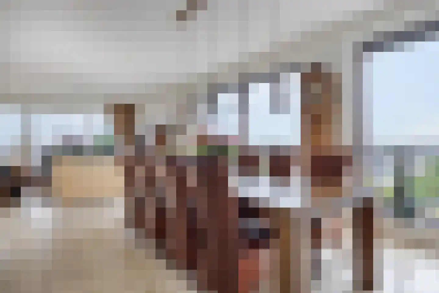 Kijkduinlaan 118 Tilburg thumbnail 12