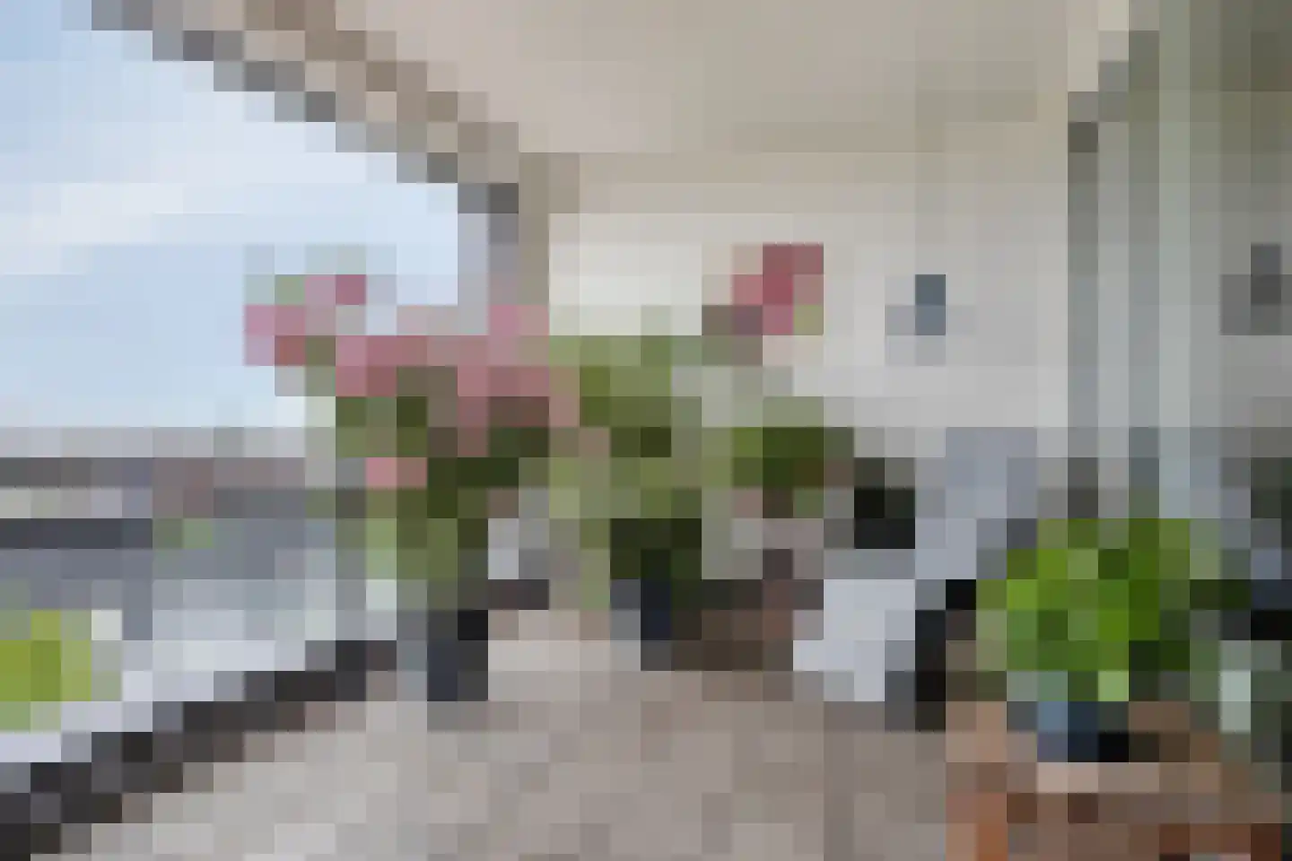 Kijkduinlaan 118 Tilburg thumbnail 15