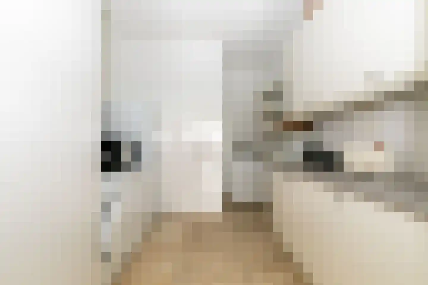 Kijkduinlaan 118 Tilburg thumbnail 19