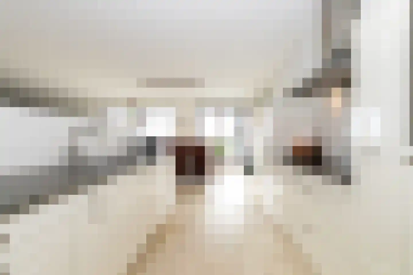Kijkduinlaan 118 Tilburg thumbnail 20