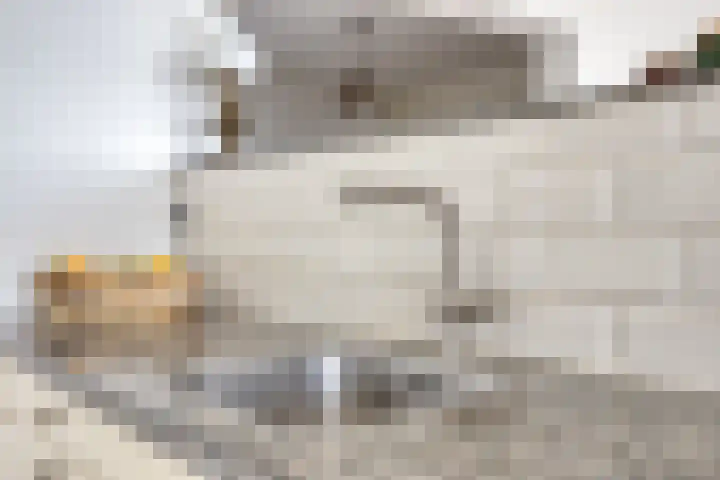 Kijkduinlaan 118 Tilburg thumbnail 24