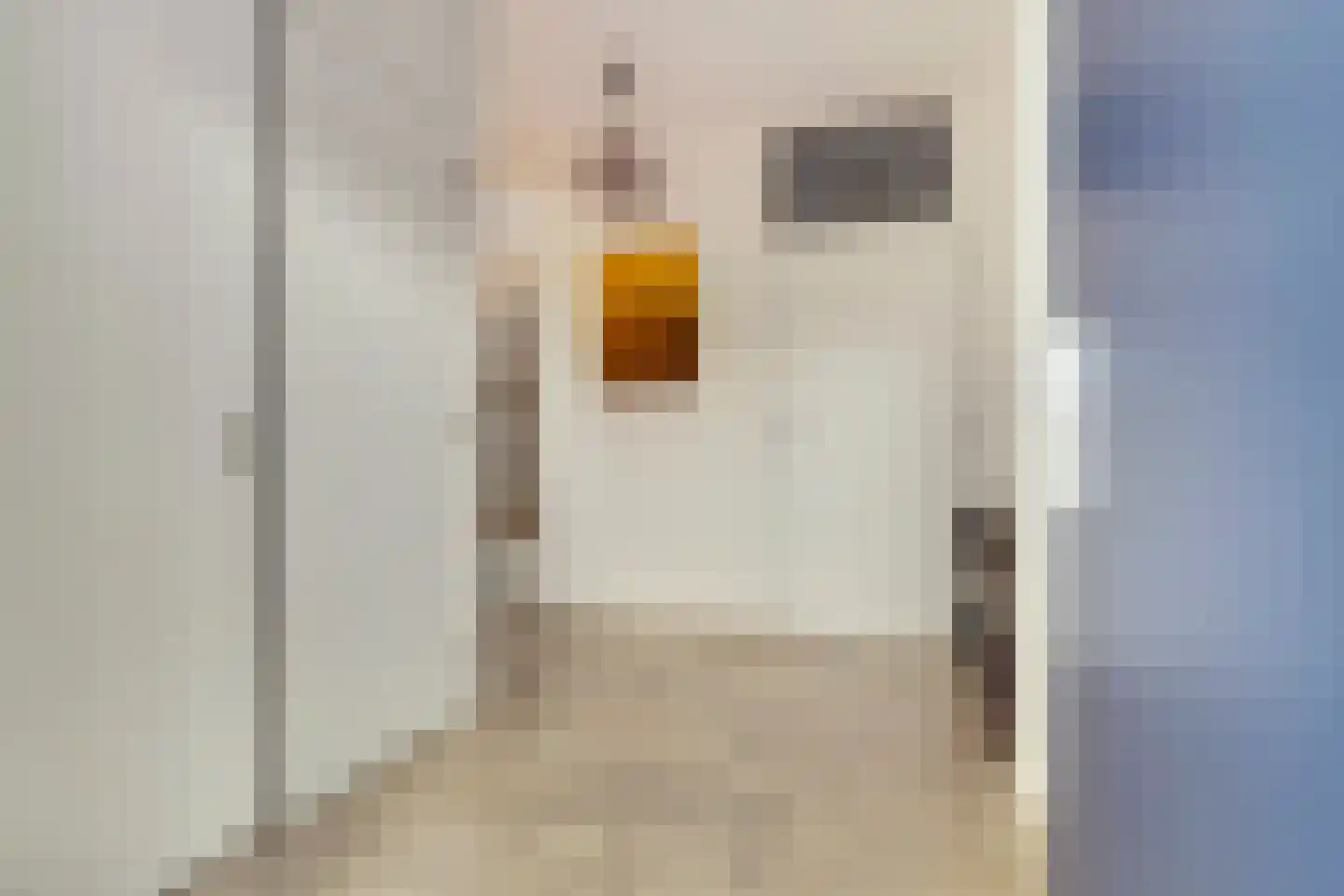 Kijkduinlaan 118 Tilburg thumbnail 9