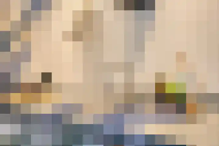 Kijkduinlaan 3 Tilburg thumbnail 19