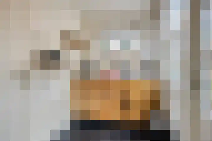 Kijkduinlaan 3 Tilburg thumbnail 22