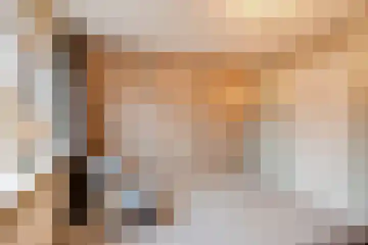 Kijkduinlaan 3 Tilburg thumbnail 29