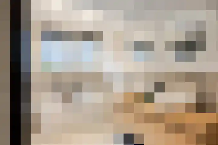 Kijkduinlaan 3 Tilburg thumbnail 32