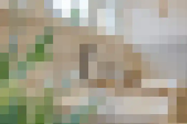 Kijkduinlaan 3 Tilburg thumbnail 35