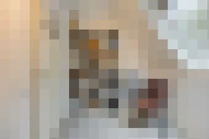 Kijkduinlaan 3 Tilburg thumbnail 41