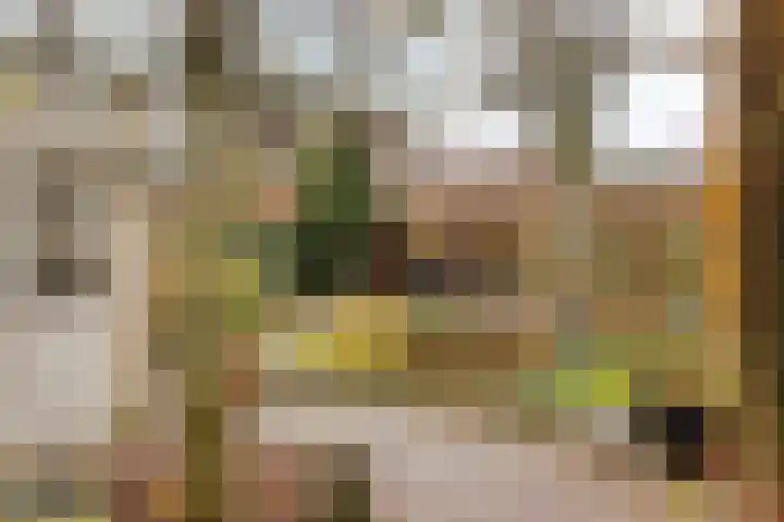 Kijkduinlaan 3 Tilburg thumbnail 43