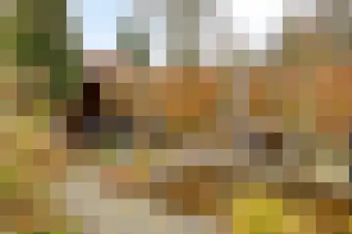 Kijkduinlaan 3 Tilburg thumbnail 45