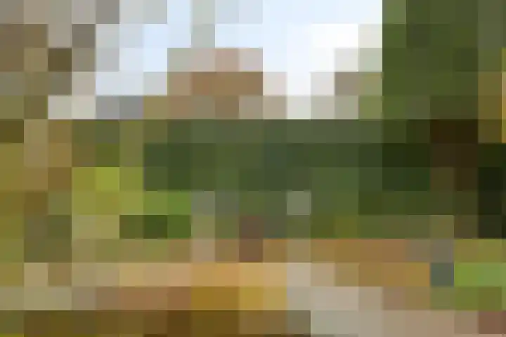 Kijkduinlaan 3 Tilburg thumbnail 49