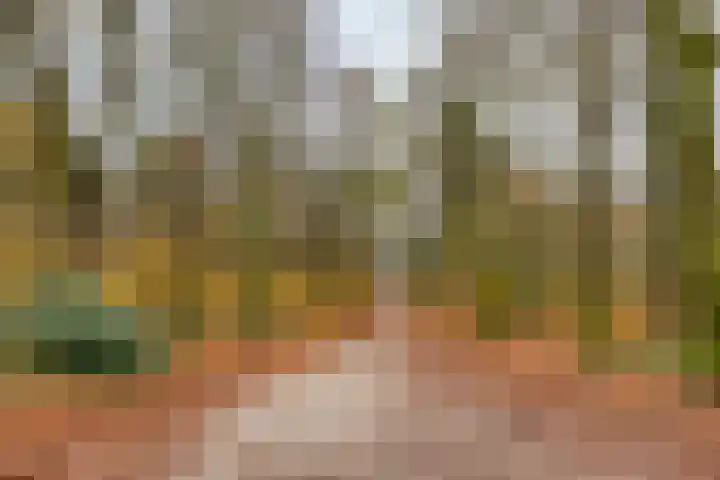 Kijkduinlaan 3 Tilburg thumbnail 52
