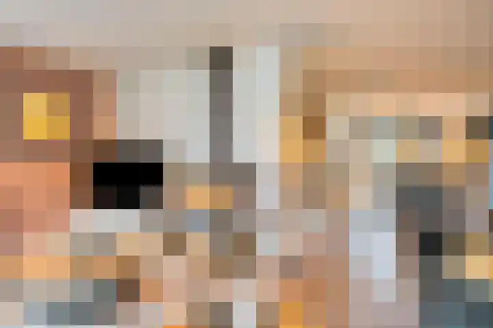 Kijkduinlaan 3 Tilburg thumbnail 8