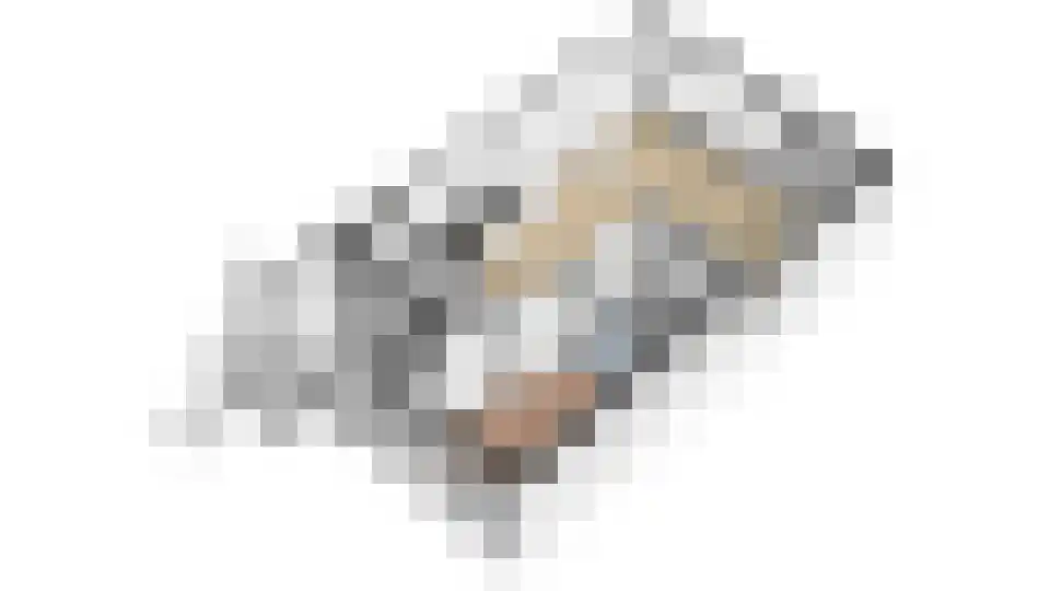 Kijkduinlaan 32 Huisduinen thumbnail 33