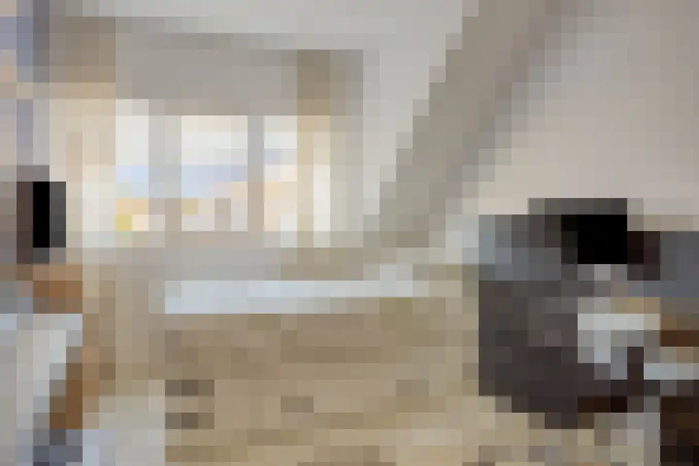 Kijkduinlaan 39 Tilburg thumbnail 16