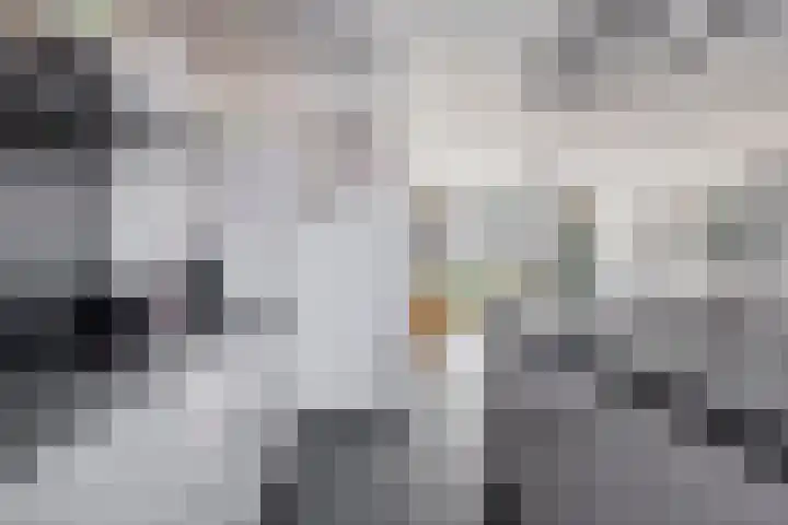 Kijkduinlaan 57 Tilburg thumbnail 10