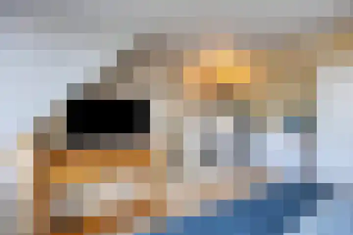 Kijkduinlaan 57 Tilburg thumbnail 27