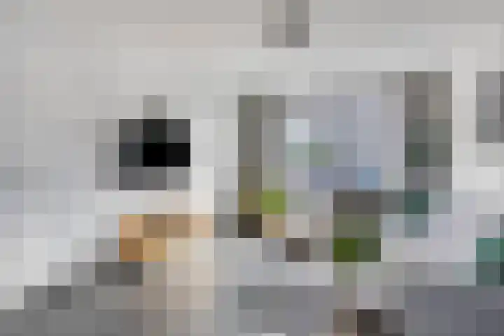 Kijkduinlaan 57 Tilburg thumbnail 6