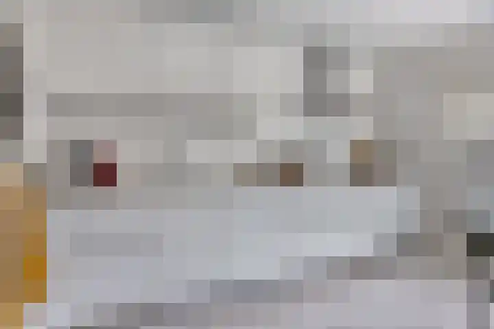 Kijkduinlaan 7 Tilburg thumbnail 11