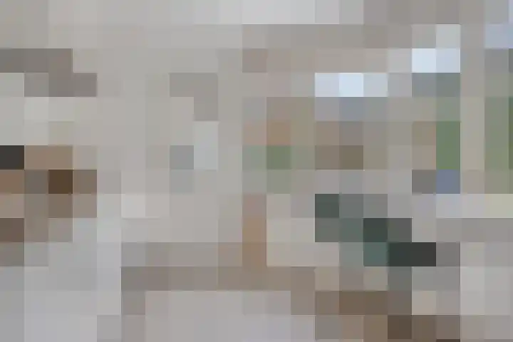 Kijkduinlaan 7 Tilburg thumbnail 12