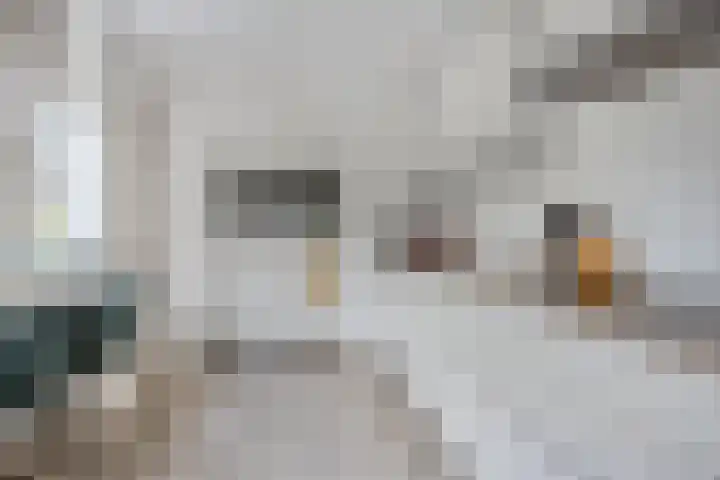 Kijkduinlaan 7 Tilburg thumbnail 13