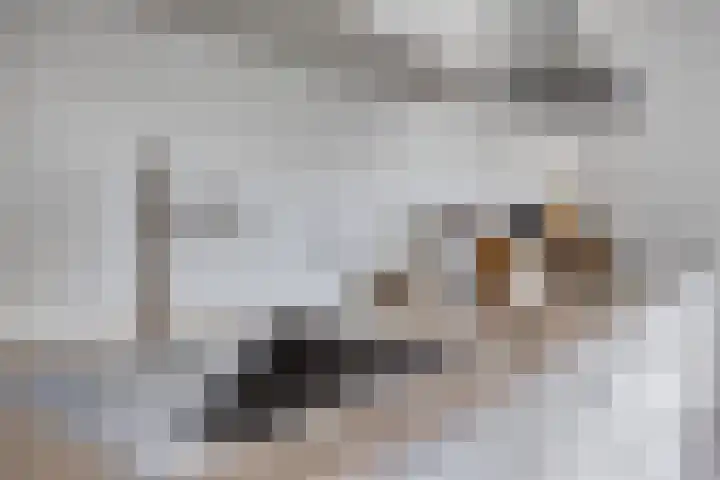 Kijkduinlaan 7 Tilburg thumbnail 14