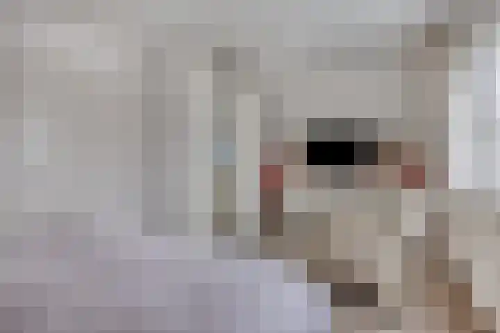 Kijkduinlaan 7 Tilburg thumbnail 20