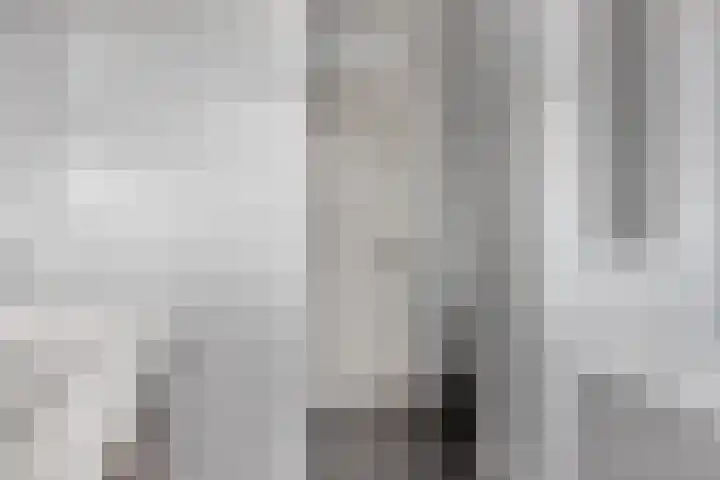 Kijkduinlaan 7 Tilburg thumbnail 24
