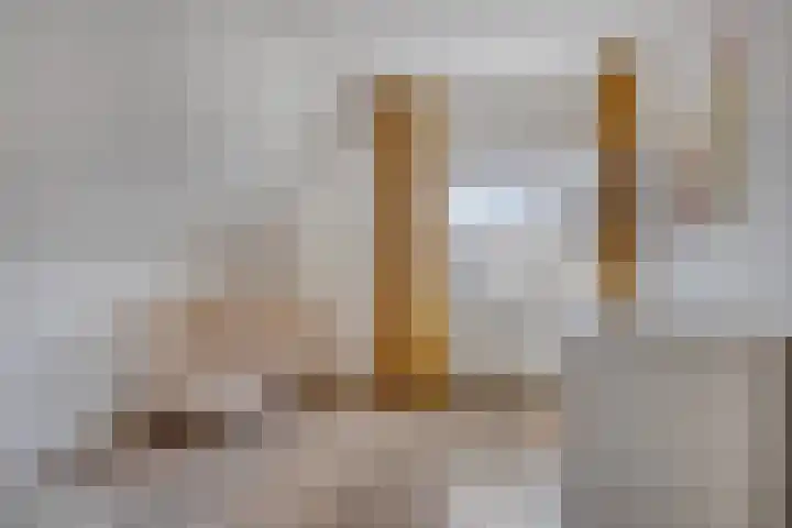 Kijkduinlaan 7 Tilburg thumbnail 26