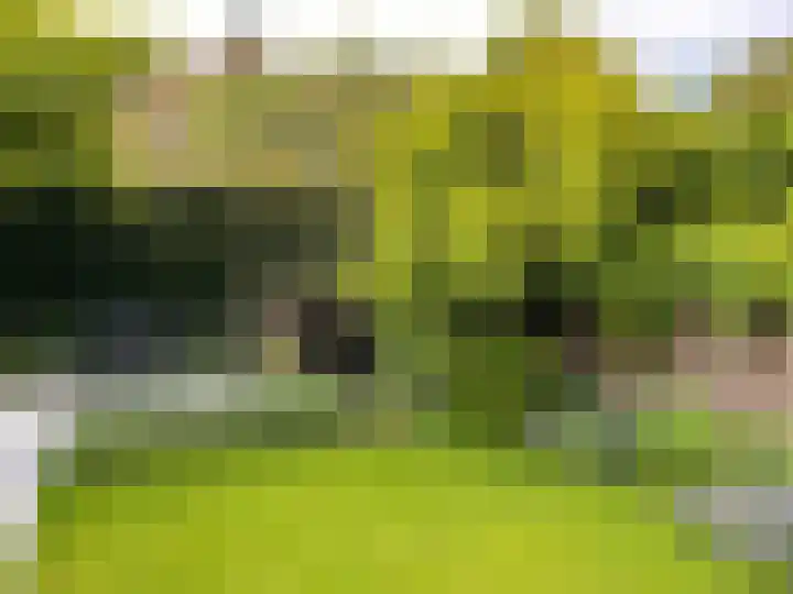 Kijkduinlaan 7 Tilburg thumbnail 33