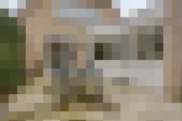 Kijkduinlaan 7 Tilburg thumbnail 35