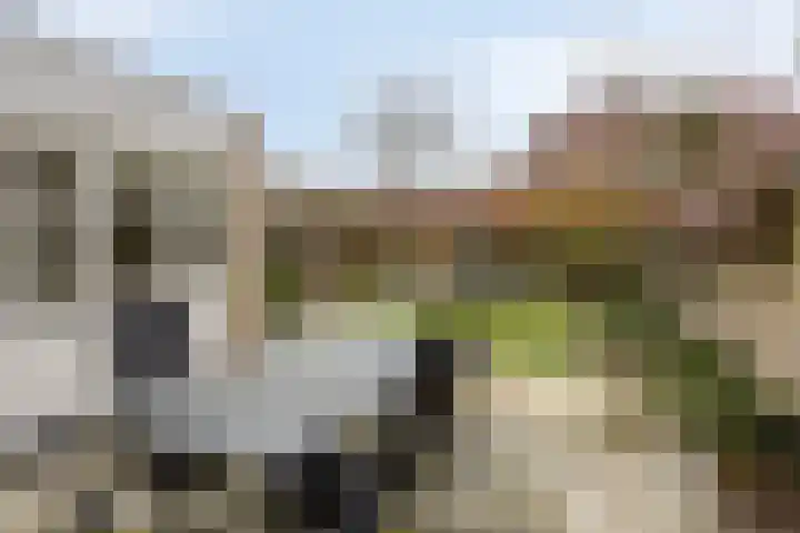 Kijkduinlaan 7 Tilburg thumbnail 36