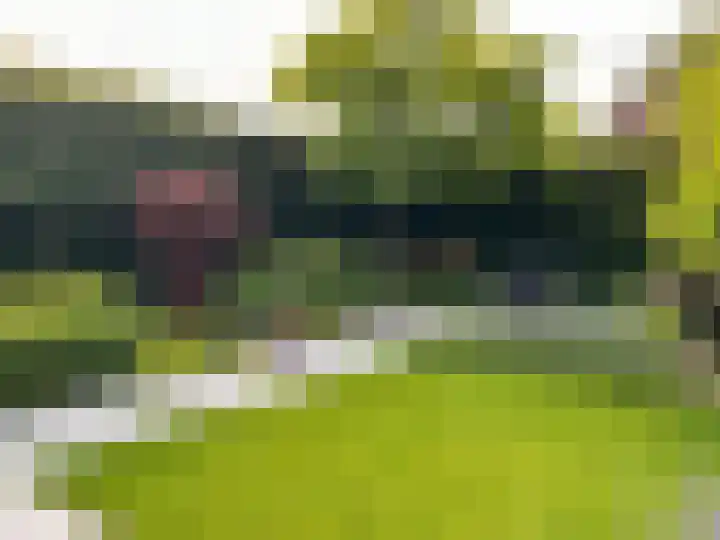 Kijkduinlaan 7 Tilburg thumbnail 37