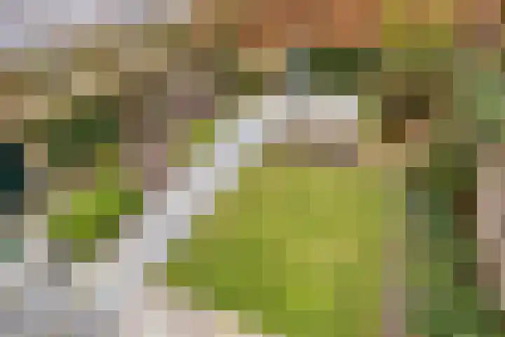 Kijkduinlaan 7 Tilburg thumbnail 38