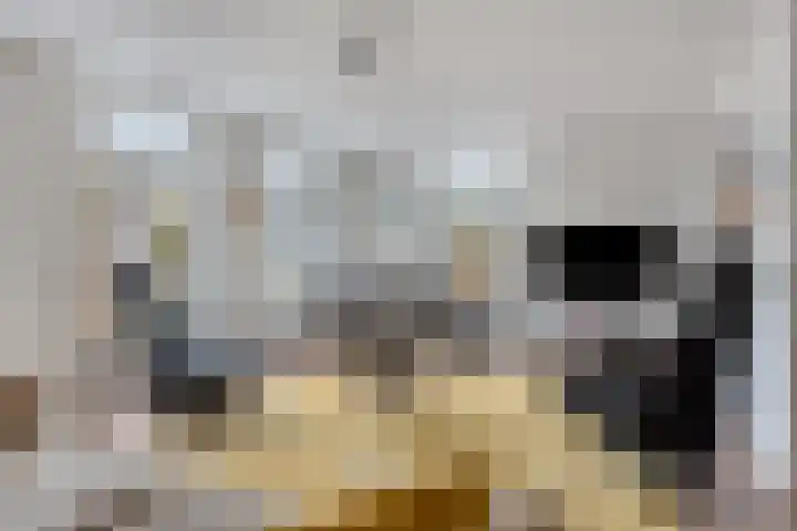 Kijkduinlaan 7 Tilburg thumbnail 4